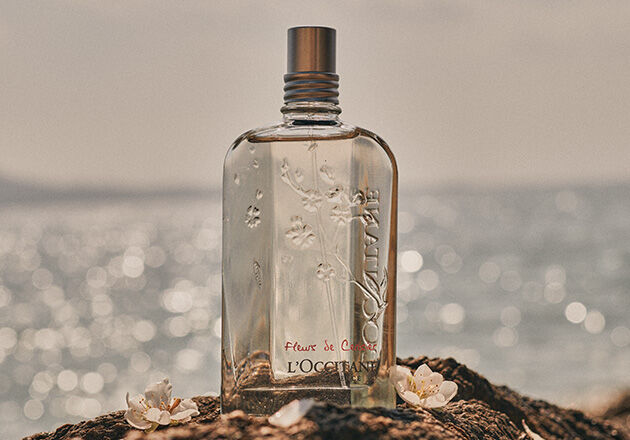 Perfume loccitane sales